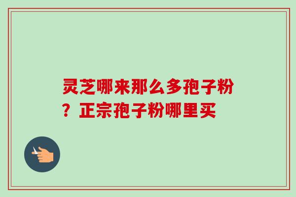灵芝哪来那么多孢子粉?正宗孢子粉哪里买