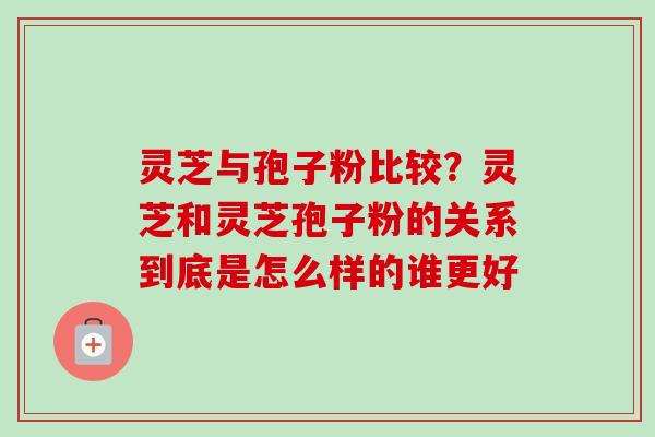 灵芝与孢子粉比较？灵芝和灵芝孢子粉的关系到底是怎么样的谁更好