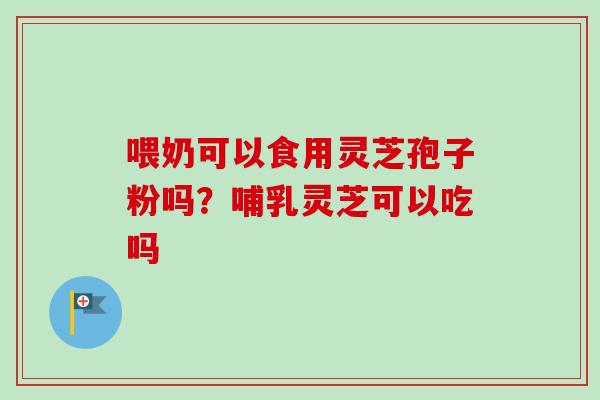 喂奶可以食用灵芝孢子粉吗？哺乳灵芝可以吃吗