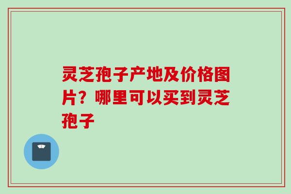 灵芝孢子产地及价格图片？哪里可以买到灵芝孢子