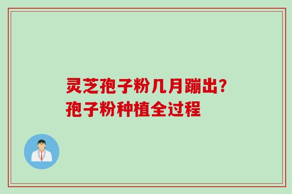 灵芝孢子粉几月蹦出？孢子粉种植全过程