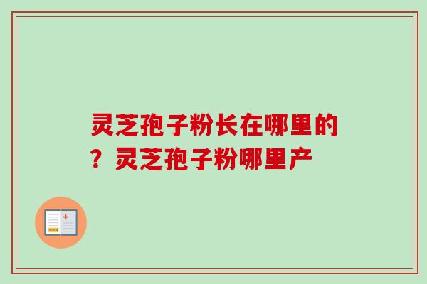灵芝孢子粉长在哪里的？灵芝孢子粉哪里产