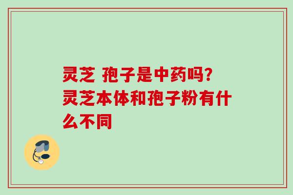 灵芝 孢子是中药吗？灵芝本体和孢子粉有什么不同