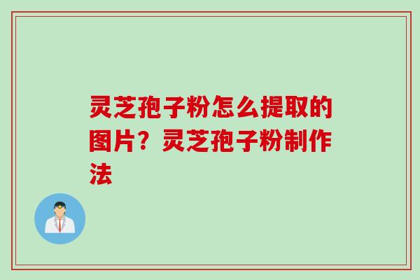 灵芝孢子粉怎么提取的图片？灵芝孢子粉制作法