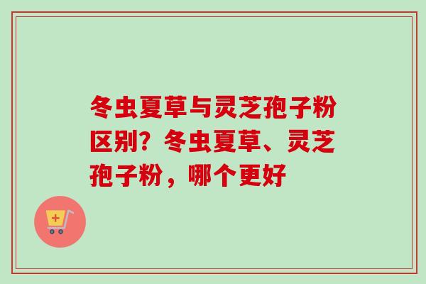 冬虫夏草与灵芝孢子粉区别？冬虫夏草、灵芝孢子粉，哪个更好