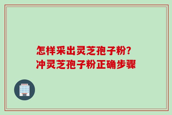 怎样采出灵芝孢子粉？冲灵芝孢子粉正确步骤