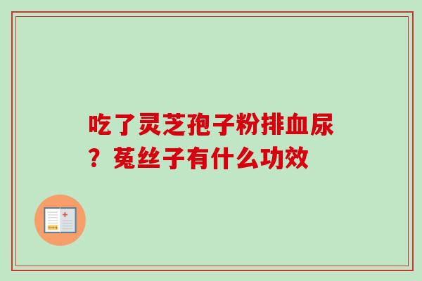 吃了灵芝孢子粉排血尿？菟丝子有什么功效