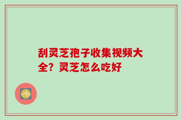 刮灵芝孢子收集视频大全？灵芝怎么吃好