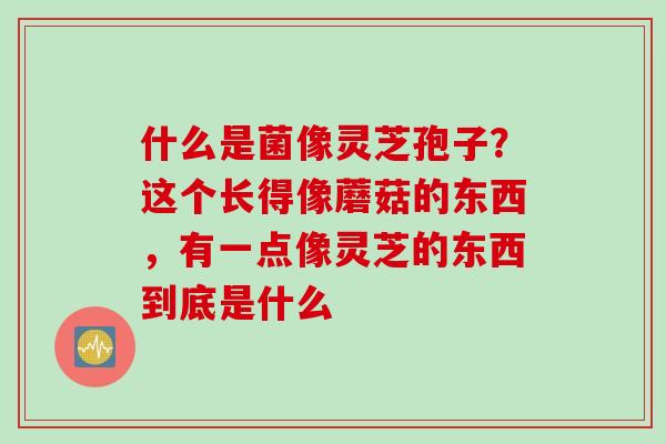 什么是菌像灵芝孢子？这个长得像蘑菇的东西，有一点像灵芝的东西到底是什么