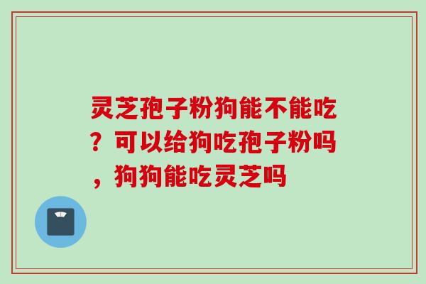 灵芝孢子粉狗能不能吃？可以给狗吃孢子粉吗，狗狗能吃灵芝吗