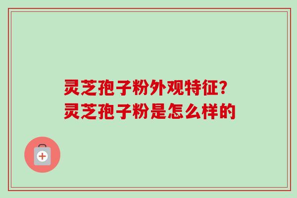 灵芝孢子粉外观特征？灵芝孢子粉是怎么样的