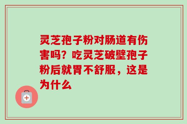灵芝孢子粉对肠道有伤害吗？吃灵芝破壁孢子粉后就胃不舒服，这是为什么