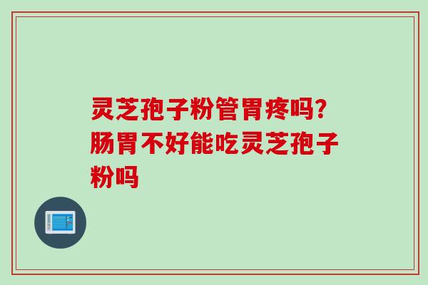 灵芝孢子粉管胃疼吗？肠胃不好能吃灵芝孢子粉吗