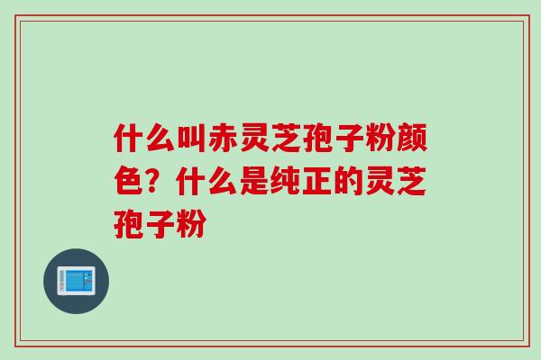 什么叫赤灵芝孢子粉颜色?什么是纯正的灵芝孢子粉 什么叫赤灵芝孢子粉颜色?什么是纯正的灵芝孢子粉
