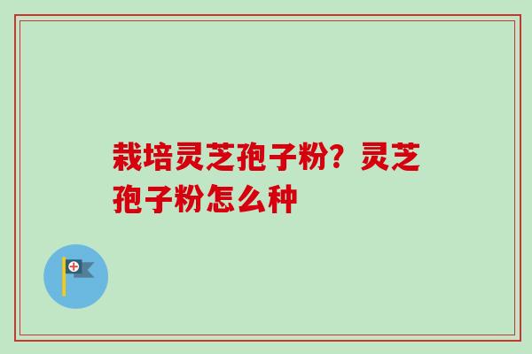 栽培灵芝孢子粉？灵芝孢子粉怎么种