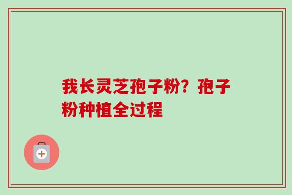 我长灵芝孢子粉？孢子粉种植全过程