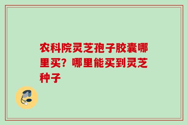 农科院灵芝孢子胶囊哪里买？哪里能买到灵芝种子