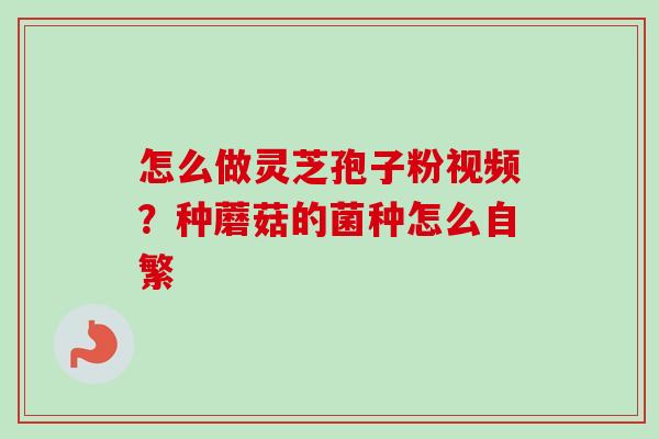 怎么做灵芝孢子粉视频？种蘑菇的菌种怎么自繁
