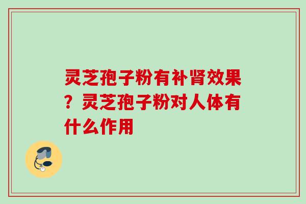 灵芝孢子粉有补肾效果?灵芝孢子粉对人体有什么作用