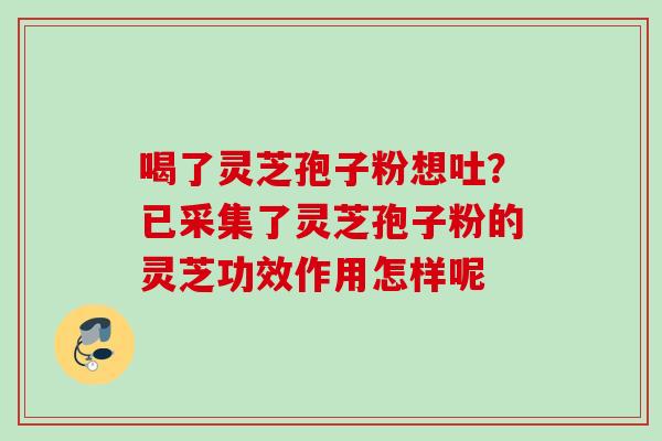 喝了灵芝孢子粉想吐？已采集了灵芝孢子粉的灵芝功效作用怎样呢