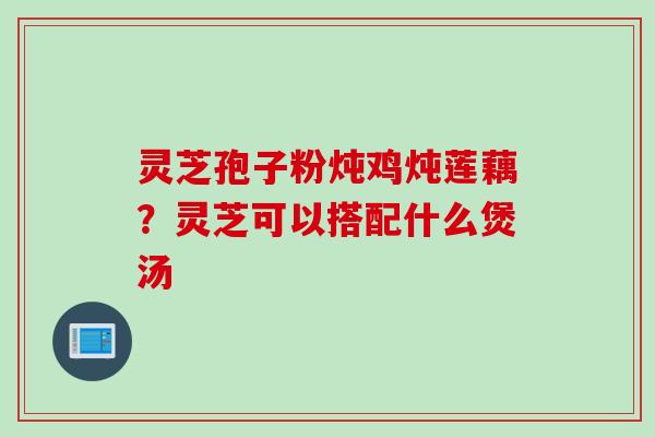 灵芝孢子粉炖鸡炖莲藕？灵芝可以搭配什么煲汤