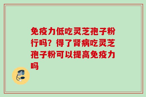 免疫力低吃灵芝孢子粉行吗?得了肾病吃灵芝孢子粉可以提高免疫力吗
