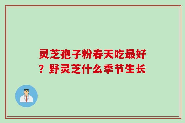 灵芝孢子粉春天吃最好？野灵芝什么季节生长