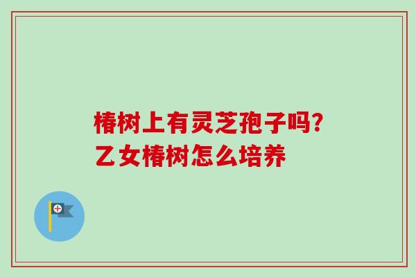 椿树上有灵芝孢子吗？乙女椿树怎么培养