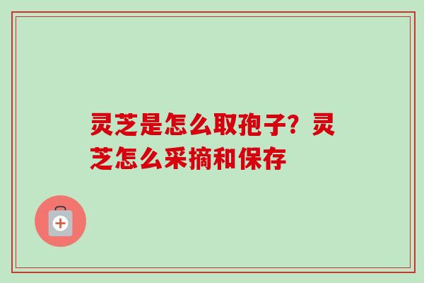 灵芝是怎么取孢子？灵芝怎么采摘和保存