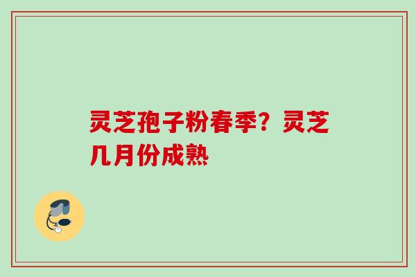 灵芝孢子粉春季？灵芝几月份成熟