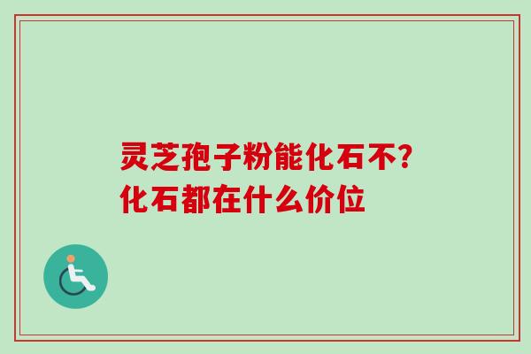 灵芝孢子粉能化石不？化石都在什么价位