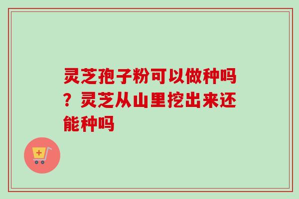 灵芝孢子粉可以做种吗？灵芝从山里挖出来还能种吗