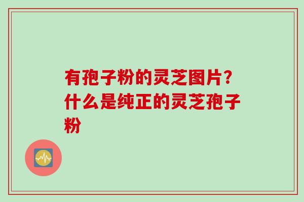 有孢子粉的灵芝图片？什么是纯正的灵芝孢子粉