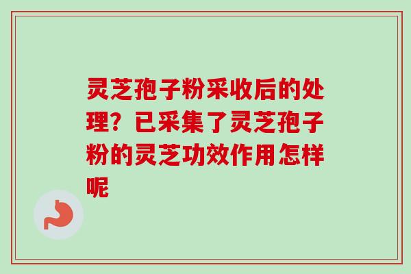 灵芝孢子粉采收后的处理？已采集了灵芝孢子粉的灵芝功效作用怎样呢