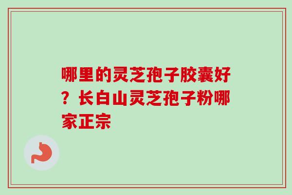 哪里的灵芝孢子胶囊好？长白山灵芝孢子粉哪家正宗