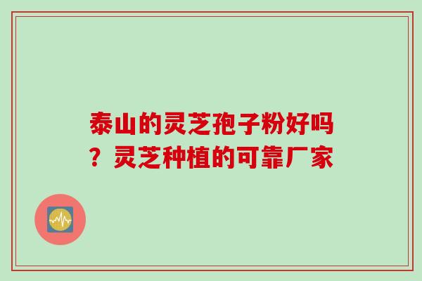 泰山的灵芝孢子粉好吗？灵芝种植的可靠厂家