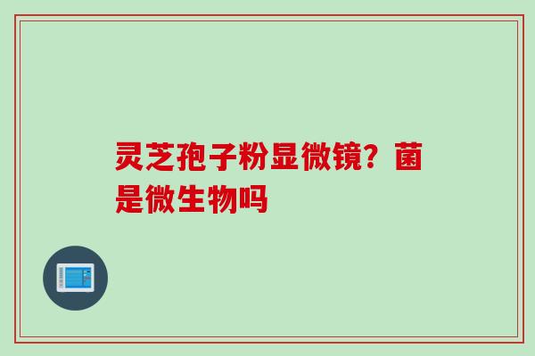 灵芝孢子粉显微镜？菌是微生物吗