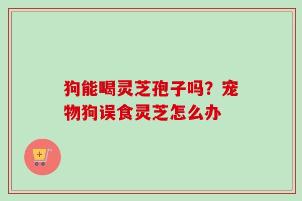 狗能喝灵芝孢子吗?宠物狗误食灵芝怎么办 狗能喝灵芝孢子吗?宠物狗误食灵芝怎么办