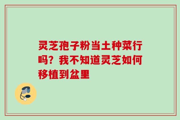 灵芝孢子粉当土种菜行吗？我不知道灵芝如何移植到盆里