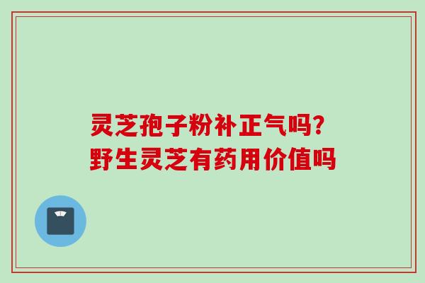 灵芝孢子粉补正气吗？野生灵芝有药用价值吗