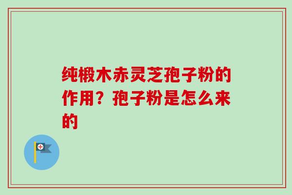 纯椴木赤灵芝孢子粉的作用？孢子粉是怎么来的
