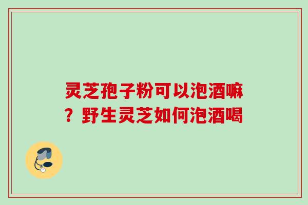 灵芝孢子粉可以泡酒嘛？野生灵芝如何泡酒喝