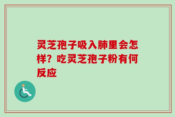 灵芝孢子吸入肺里会怎样？吃灵芝孢子粉有何反应