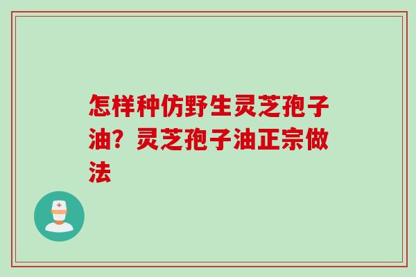 怎样种仿野生灵芝孢子油？灵芝孢子油正宗做法