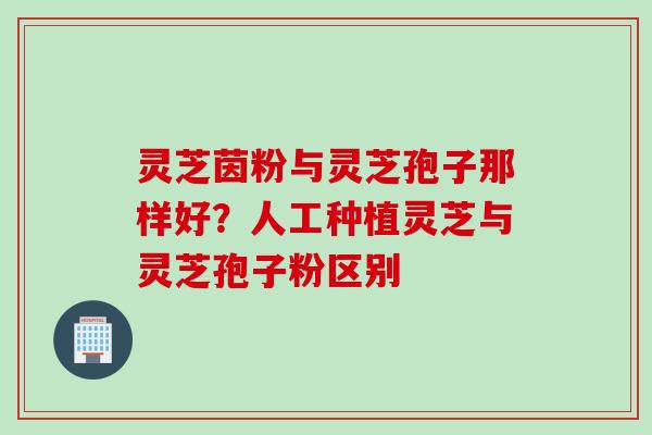 灵芝茵粉与灵芝孢子那样好？人工种植灵芝与灵芝孢子粉区别