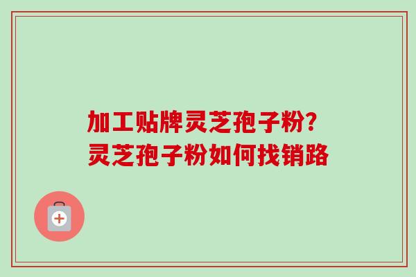 加工贴牌灵芝孢子粉？灵芝孢子粉如何找销路