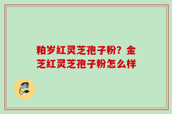 粕岁红灵芝孢子粉？金芝红灵芝孢子粉怎么样