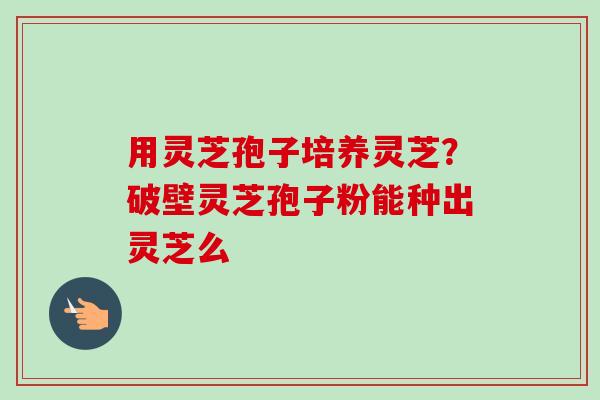 用灵芝孢子培养灵芝？破壁灵芝孢子粉能种出灵芝么