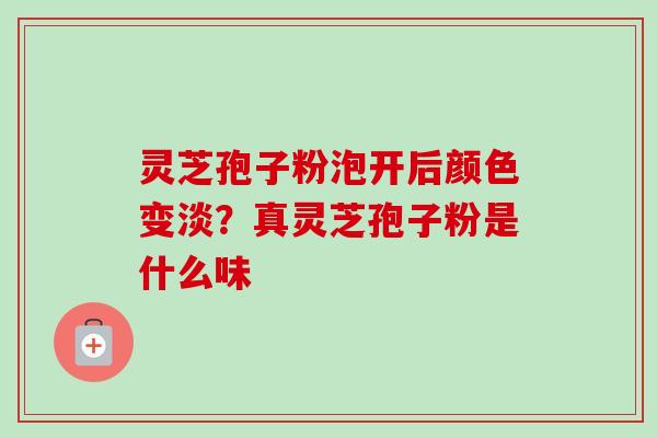 灵芝孢子粉泡开后颜色变淡？真灵芝孢子粉是什么味
