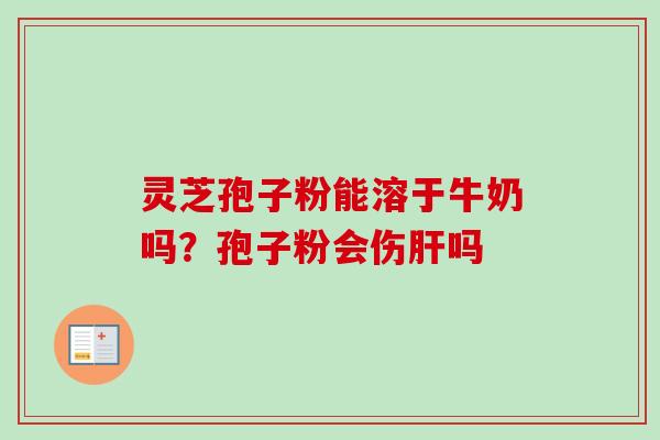 灵芝孢子粉能溶于牛奶吗？孢子粉会伤肝吗